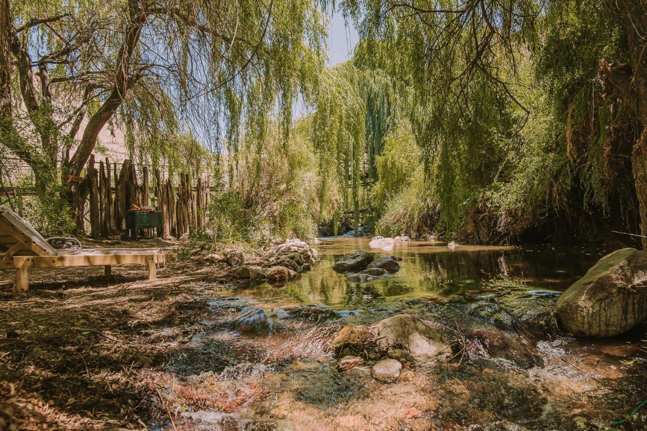 Hotel Vivelo Elqui Landscape Horcon  Exterior photo